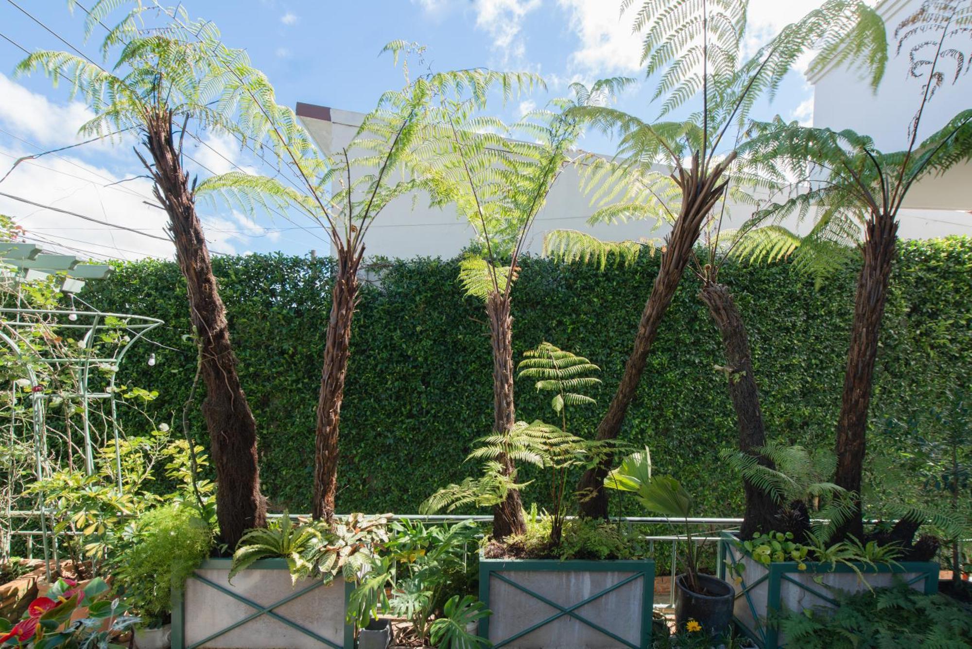 Le Soleil Boutique Hotel دالات المظهر الخارجي الصورة
