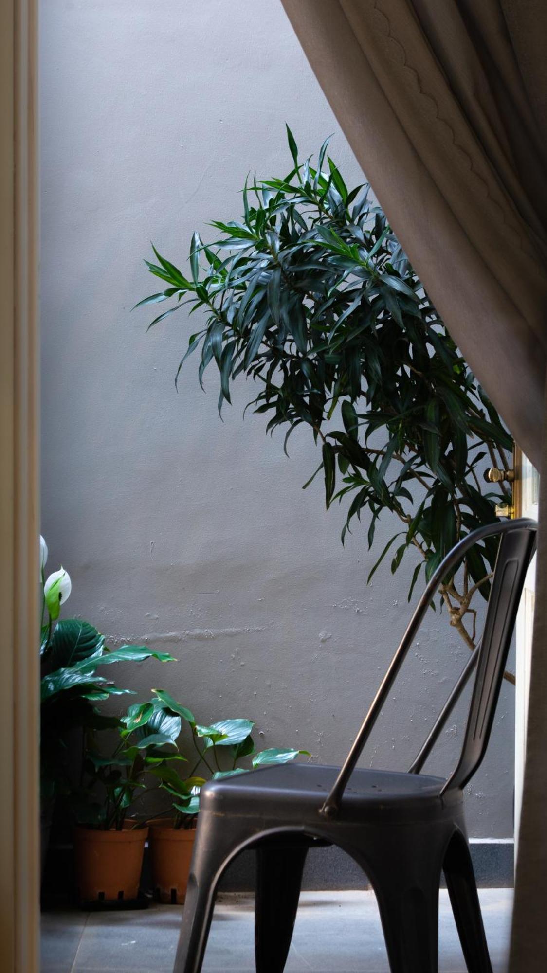 Le Soleil Boutique Hotel دالات المظهر الخارجي الصورة